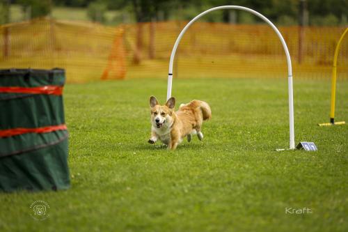 27308556 15cac5f5c4ab9bb6b93eb609c88feb2a xl