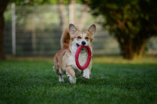 27341808 c173b20c0f1024b49d8024582b295aaf xl