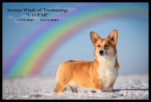 27352552 a1d1c301264c1655d1703b4fabee0eb1 xl