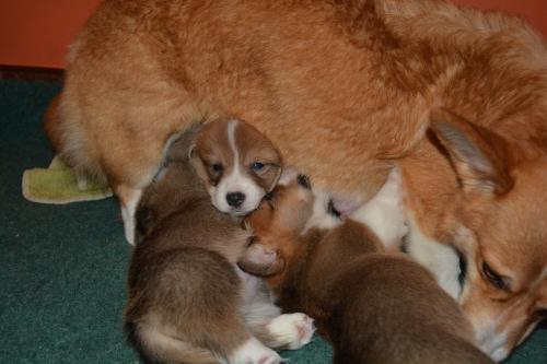 26849605 80e58a3f787513f699c1f4b1717ee1e7 xl