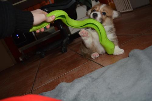 26849609 33207ab35c21e42cef09093f17ac9b30 xl