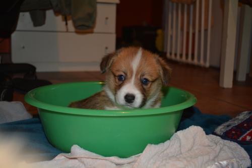 26849617 038cb0caa257cb032940986cbc893eca xl