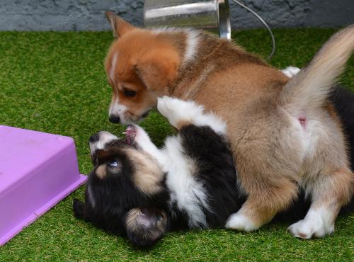 26856119 d8f3f97c78693f49faf57a830132e6fb xl