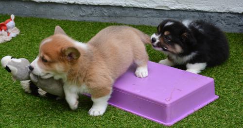 26856121 2719125ad3514935484d3c22d02a68f9 xl