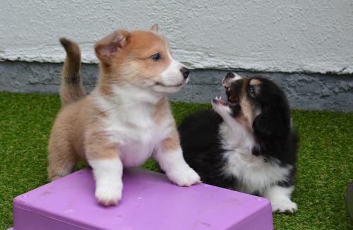 26856127 b41250e69ab62fd058c2cd491a76f134 xl