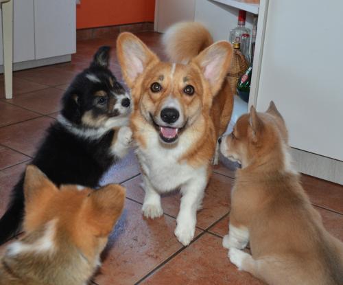 26858137 c11820ed56230adbbf39c8207b26ed20 xl