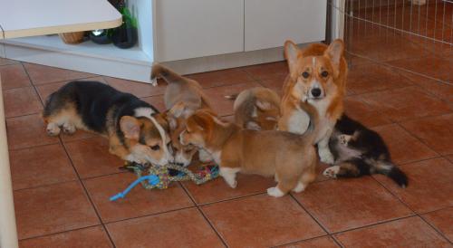 26858141 336b8011478da9f24cafb63859009364 xl