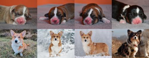 27010255 b5dbabd78c064a965fcff95e3556a0da xl