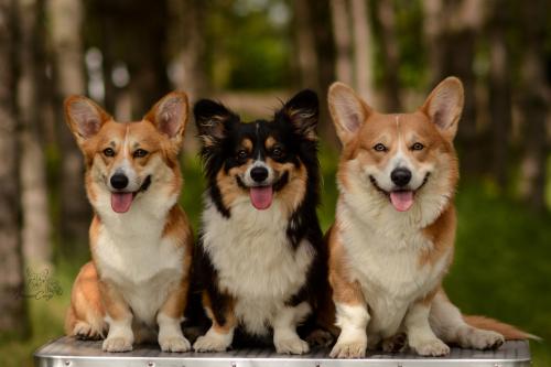 27062085 5e1b2fad113cd172cbcbd7d3450551e8 xl