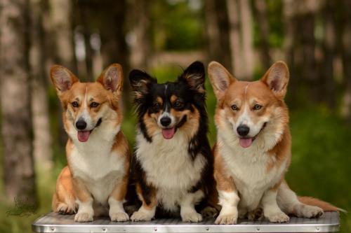 27062087 06e7ed4daf5004b0e01914ce035e0363 xl