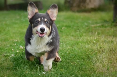 27080937 7c30d222c824aeb8e7b54088429db04a xl