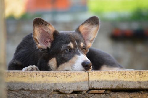 27080939 8e9d1fee430f793bdbb2681d963321da xl