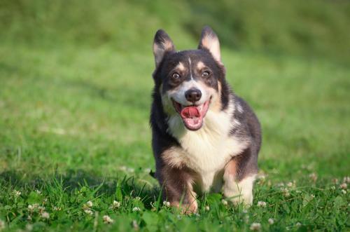 27080943 3c60c99512b2d83bbbed8ceff8b32c12 xl