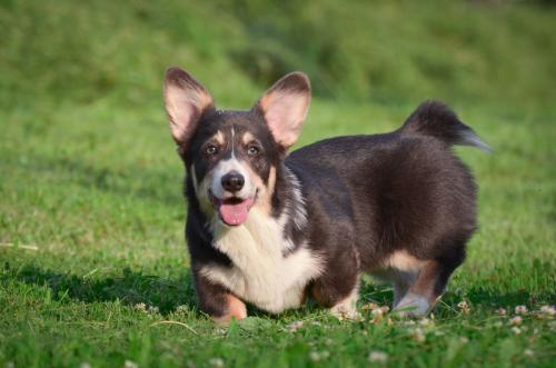 27080945 dcd19e849e13902f0b4b25ae58ac5ab3 xl