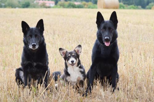 27139118 d357bc9f6647dd79331117281f7e2f4e xl