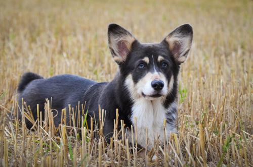 27139120 c9390bbb62eec16f17cac3c909fd1061 xl