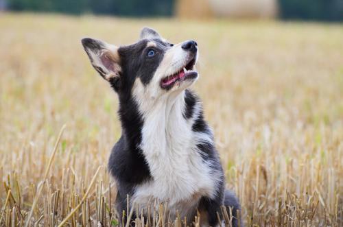 27139122 b4103ec030868c36466645457bb5dc2c xl