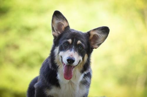 27139124 93fa31e48f253aafff88a6ba8154d43b xl