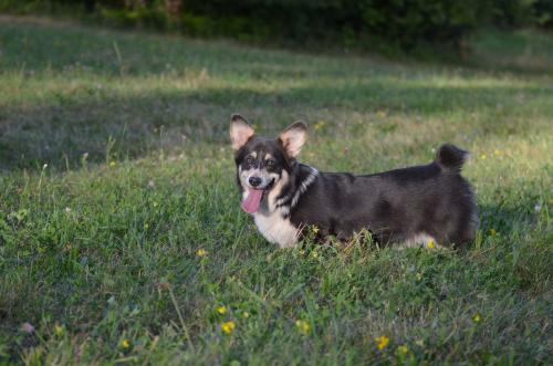 27139126 1ef710589aa460c780244d57fe7e964c xl