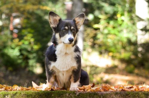 27139128 8bb27bb8747c62522630d062c0e6ccda xl