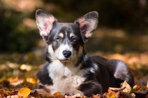 27139132 07c612d25b20d9649f69748bbe94d042 xl