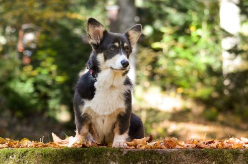 27139134 d5716e36660f0346170e5e51efa6ec35 xl