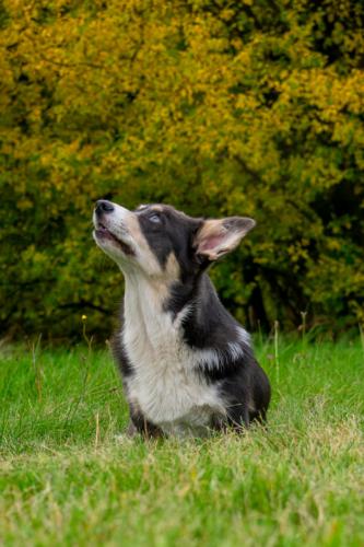 27139142 1a99ca60fafbb82b026e20a924ffb362 xl