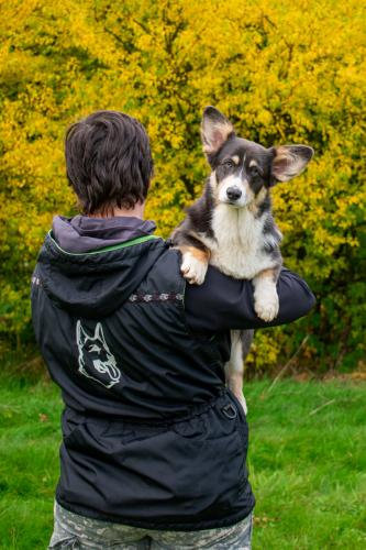 27139144 15754bf29af899e7e960376b6eac817d xl