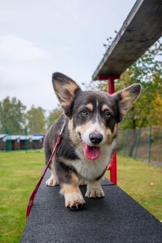 27139146 2b7c7ee41273be7b3629e58df6d00a98 xl