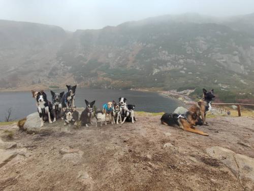 27139148 7276805cb786eba319a8bfa3f5330ab5 xl