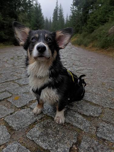 27139150 c8242a71786ff35561eb53145ac0dc1d xl