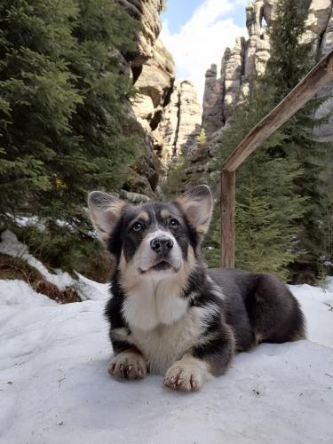 27176370 1aff1d4f905a77779edb24b1ab77bb0d xl