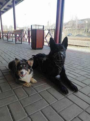 27176372 64afcbd9e8595f7e1fde8a891c61556d xl