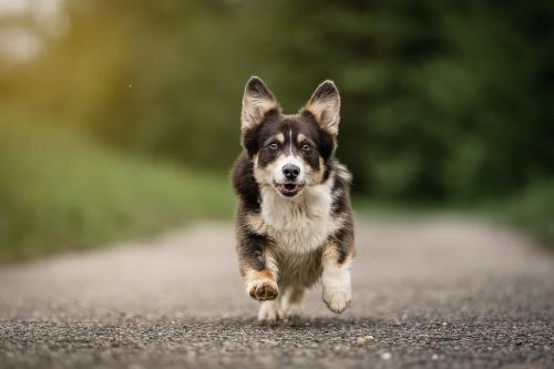 348356801 213254488237279 5807544689143597318 n