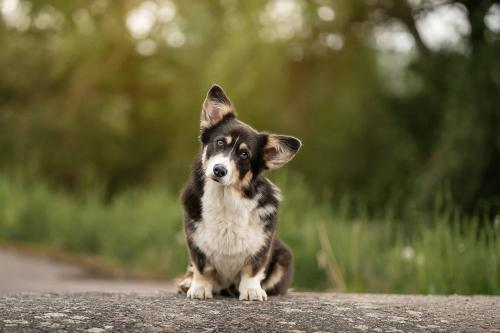 348358049 139936609081041 7658916202693027569 n