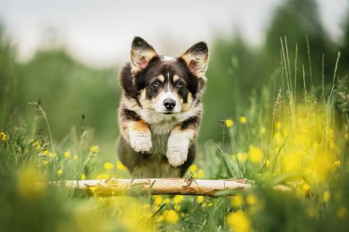 348362983 240272958608624 5425354848243654680 n