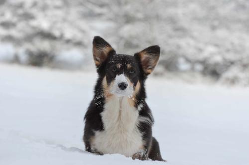 419645875 389053457018126 8935589754936532812 n