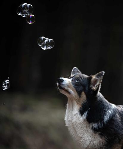 432354493 781453580617984 7875417268648438724 n