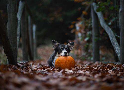 462556013 601809892179132 6823374819017214235 n