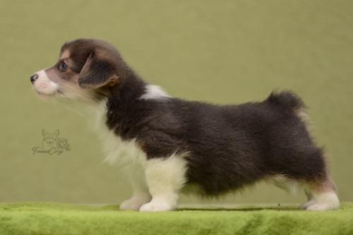 27028785 65e16cfab744f153ba8a157844d9e127 xl