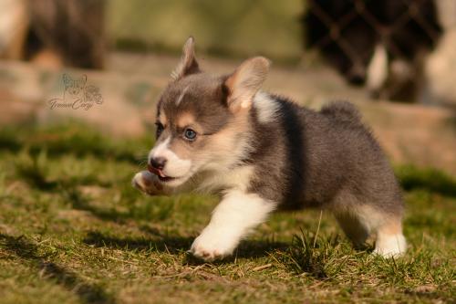 27029693 21d112e2ba4fb26675adbca4d4cf4cb9 xl