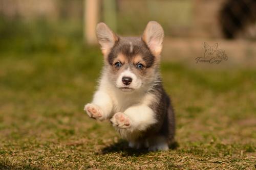 27029695 3a84dfb091ed1f14680e1467a2d2acc2 xl