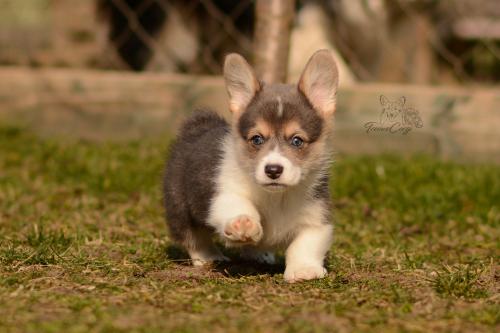 27029697 9f109e4e4dcfce6e7bdbca204afcd694 xl