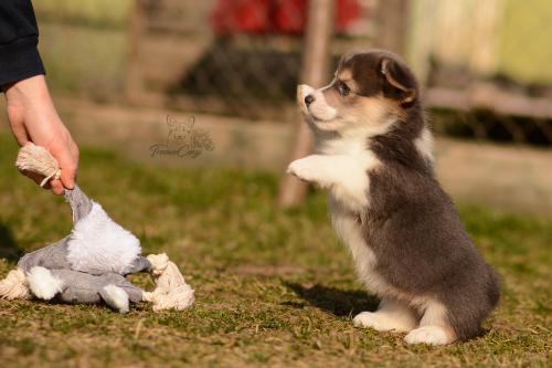 27029699 388a1d12b7b2f85cda5c6a3ade788dee xl