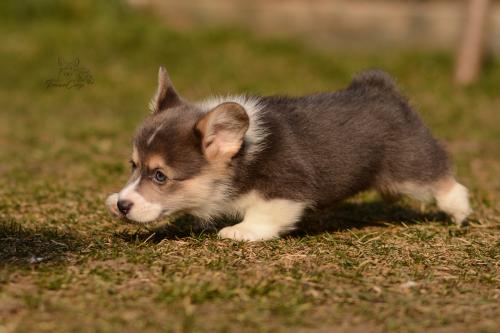 27029701 1c2f26e5591d176a5e0e772ecceac323 xl