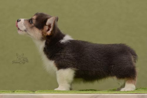 27031049 1de559ca5e8d39b3b51bb34448f8f3c3 xl