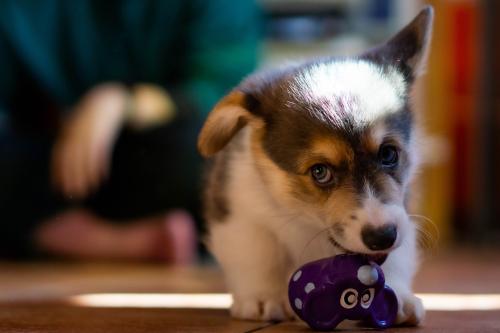 27034961 01776ee1ba54f47193bd39cb5fc0bae6 xl