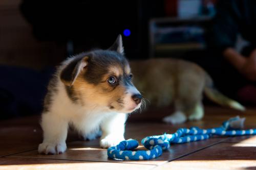 27034985 dc9a784319e1021f58257964fbcb016f xl