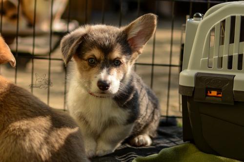 27034995 df8284a17ba5f7aebc124013f64db840 xl