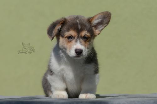 27035013 43509b62201c69917e8515acb0688fd3 xl